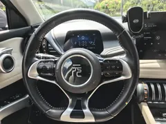 2024 BYD Yuan PLUS EV 510km Honor Superior — фото 11