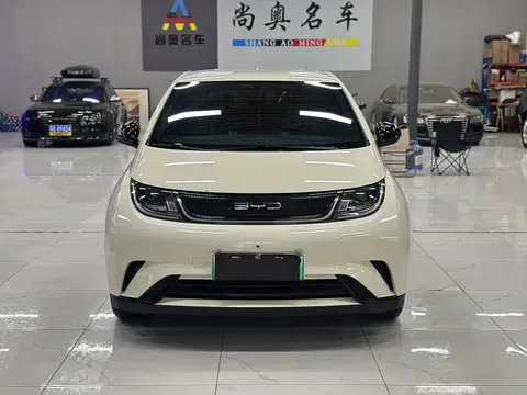 2023 BYD Dolphin 420km Freedom