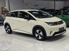 2023 BYD Dolphin 420km Freedom, белый — фото 3
