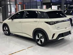 2023 BYD Dolphin 420km Freedom, белый — фото 6