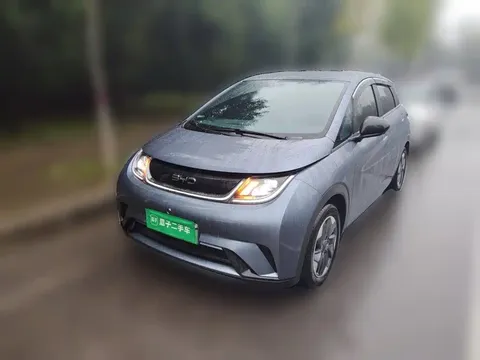 2025 BYD Dolphin 420km Freedom