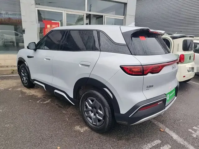 2024 BYD Yuan UP 401km Vitality