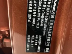 2021 Haval Dargo 1.5T DCT 2WD Malinois — фото 19