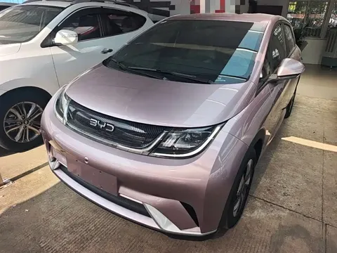 2023 BYD Dolphin 420km Freedom