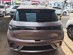 2023 BYD Dolphin 420km Freedom, чёрный — фото 4