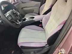 2023 BYD Dolphin 420km Freedom, чёрный — фото 11