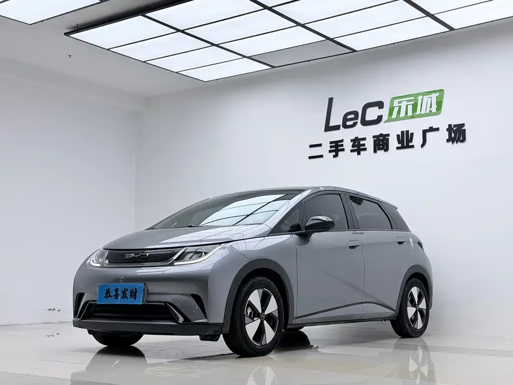 2023 BYD Dolphin 420km Fashion
