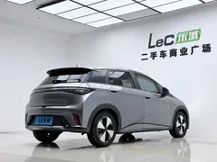 2023 BYD Dolphin 420km Fashion — фото 12