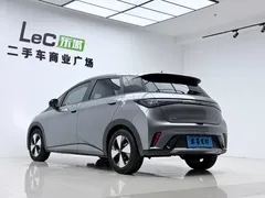2023 BYD Dolphin 420km Fashion — фото 13