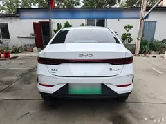 2025 BYD Qin PLUS DM-i PHEV Smart Driving 128km Advance, белый — фото 6