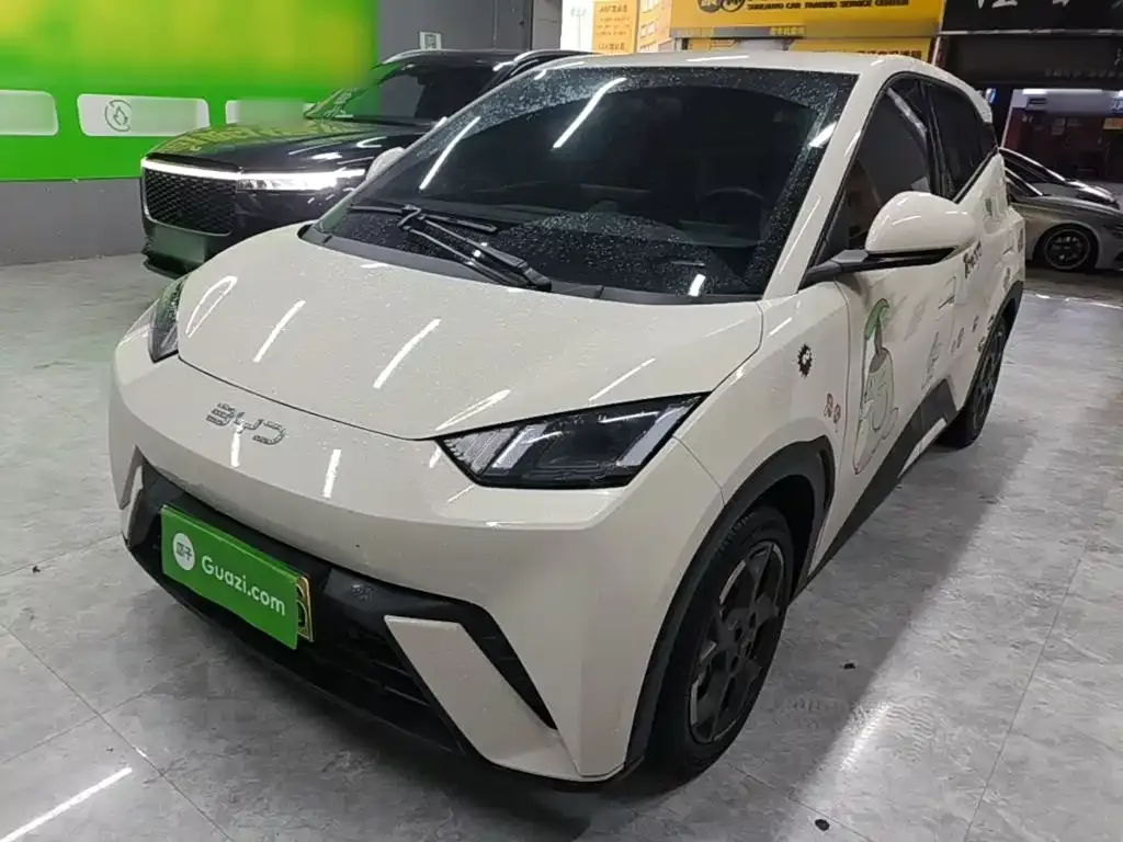 2025 BYD Seagull 305km Freedom