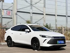 2025 BYD Qin PLUS DM-i PHEV Smart Driving 55km Leading, белый — фото 3