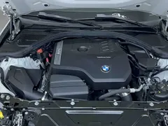 2023 BMW 3 Series 320Li M Sport Package, белый — фото 22