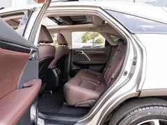 2020 Lexus RX 300 4WD Elegant — фото 10