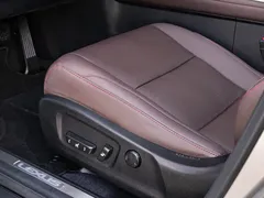 2020 Lexus RX 300 4WD Elegant — фото 21