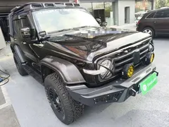 2021 Tank 300 Off-road 2.0T Conqueror, чёрный — фото 4