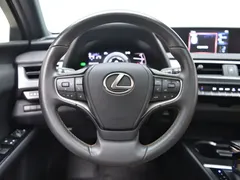 2020 Lexus UX 260h — фото 18