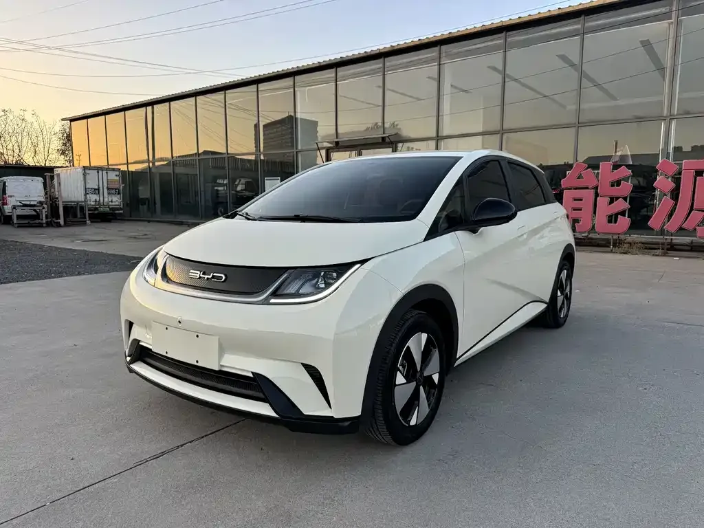 2023 BYD Dolphin 420km Freedom