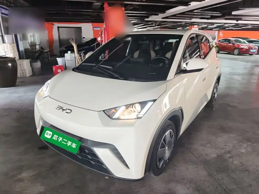 2023 BYD Seagull Vitality