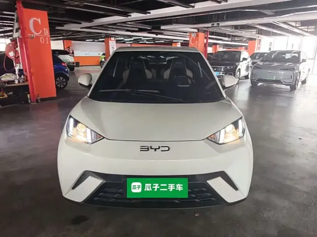 2023 BYD Seagull Vitality