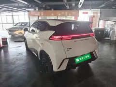 2023 BYD Seagull Vitality, белый — фото 5