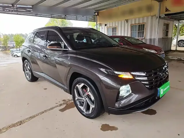 2021 Hyundai Tucson L 1.5T DCT LUX Premium
