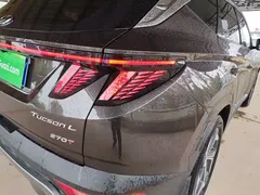 2021 Hyundai Tucson L 1.5T DCT LUX Premium — фото 8