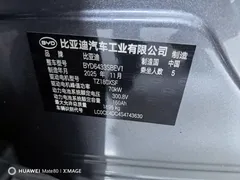 2025 BYD Yuan UP Smart Driving 401km Vitality — фото 11
