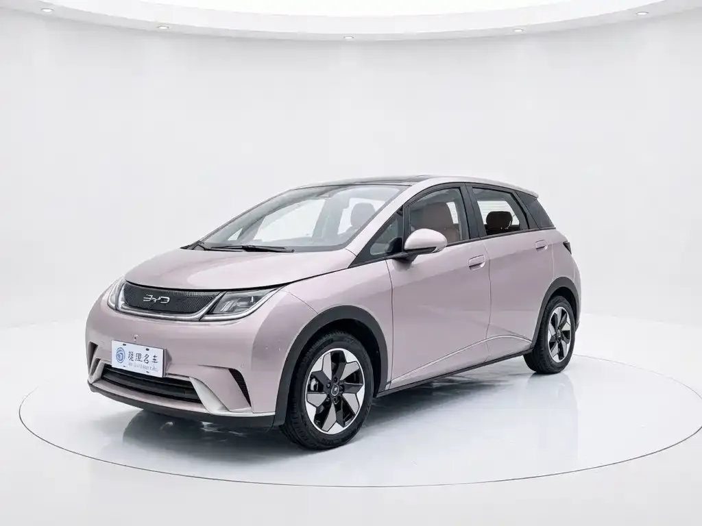 2024 BYD Dolphin Honor 420km Fashion