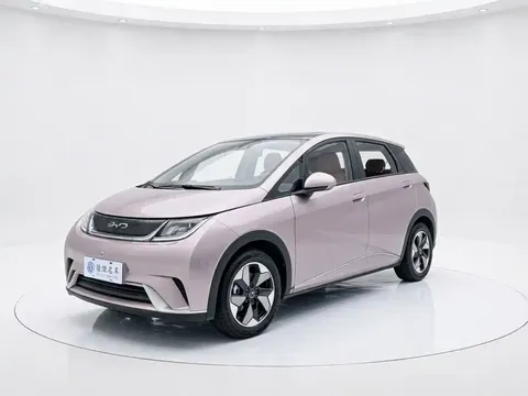 2024 BYD Dolphin Honor 420km Fashion