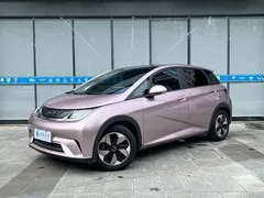 2024 BYD Dolphin Honor 420km Fashion — фото 2