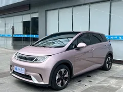 2024 BYD Dolphin Honor 420km Fashion — фото 3