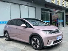 2024 BYD Dolphin Honor 420km Fashion — фото 5