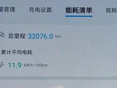 2024 BYD Dolphin Honor 420km Fashion — фото 8