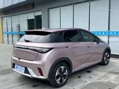 2024 BYD Dolphin Honor 420km Fashion — фото 13