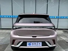 2024 BYD Dolphin Honor 420km Fashion — фото 14