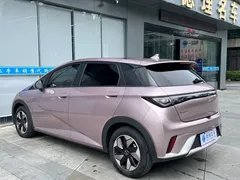 2024 BYD Dolphin Honor 420km Fashion — фото 15