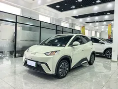 2024 BYD Seagull Honor 305km Vitality — фото 1