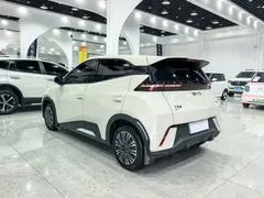 2024 BYD Seagull Honor 305km Vitality — фото 9