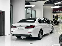 2021 BMW 5 Series 530Li xDrive Luxury Package, белый — фото 11
