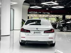 2021 BMW 5 Series 530Li xDrive Luxury Package, белый — фото 12