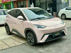 2025 BYD Seagull 305km Freedom — фото 2