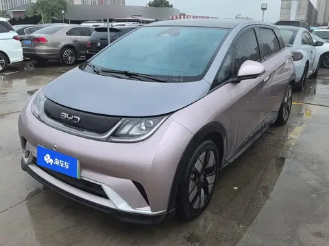 2025 BYD Dolphin EV 520km Knight