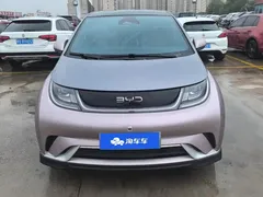 2025 BYD Dolphin EV 520km Knight — фото 2