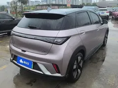 2025 BYD Dolphin EV 520km Knight — фото 3