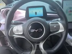 2025 BYD Dolphin EV 520km Knight — фото 15