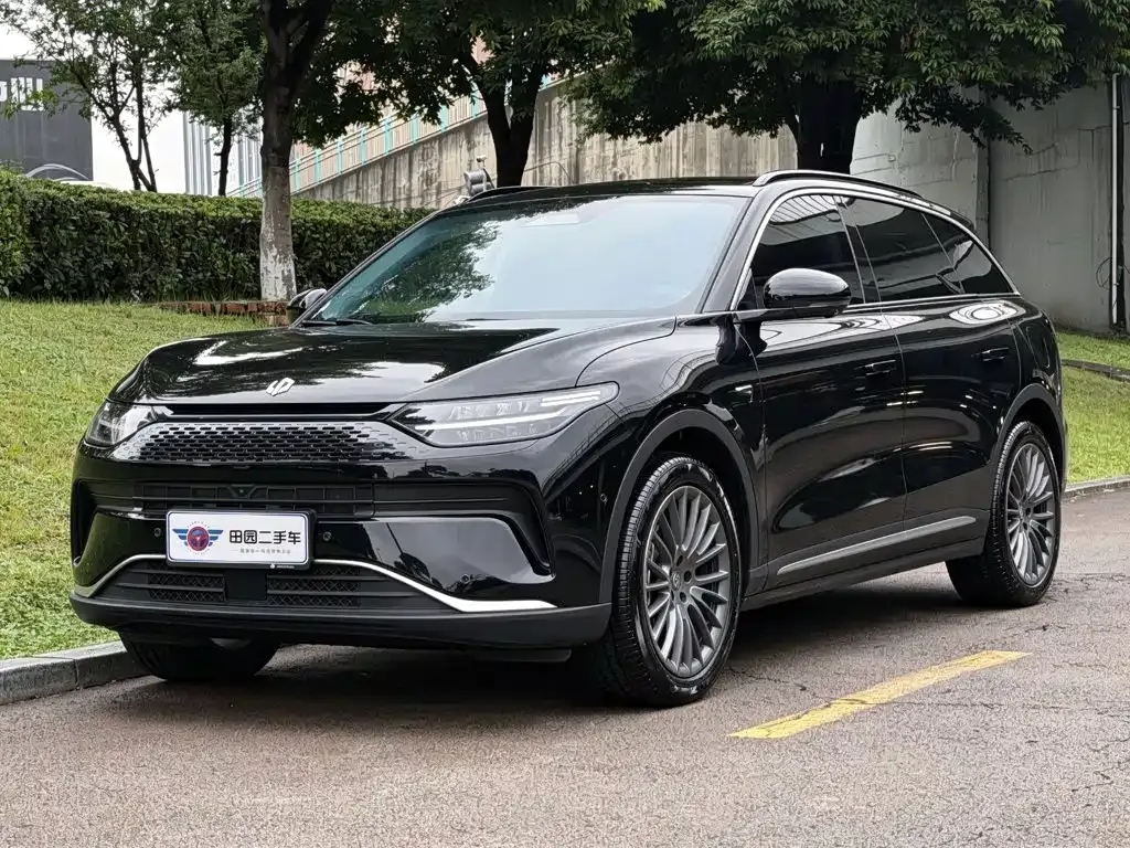 2024 Leapmotor C11 EREV 300 Premium