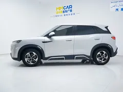 2024 BYD Yuan UP 401km Leading — фото 8