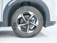 2024 BYD Yuan UP 401km Leading — фото 25
