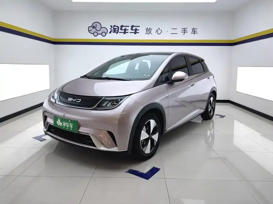 2023 BYD Dolphin 420km Fashion